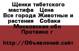 Щенки тибетского мастифа › Цена ­ 80 - Все города Животные и растения » Собаки   . Московская обл.,Протвино г.